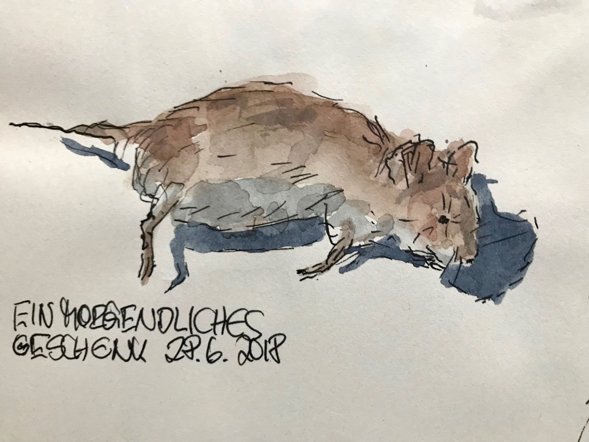 Skizzenbuch, Fineliner und Aquarell