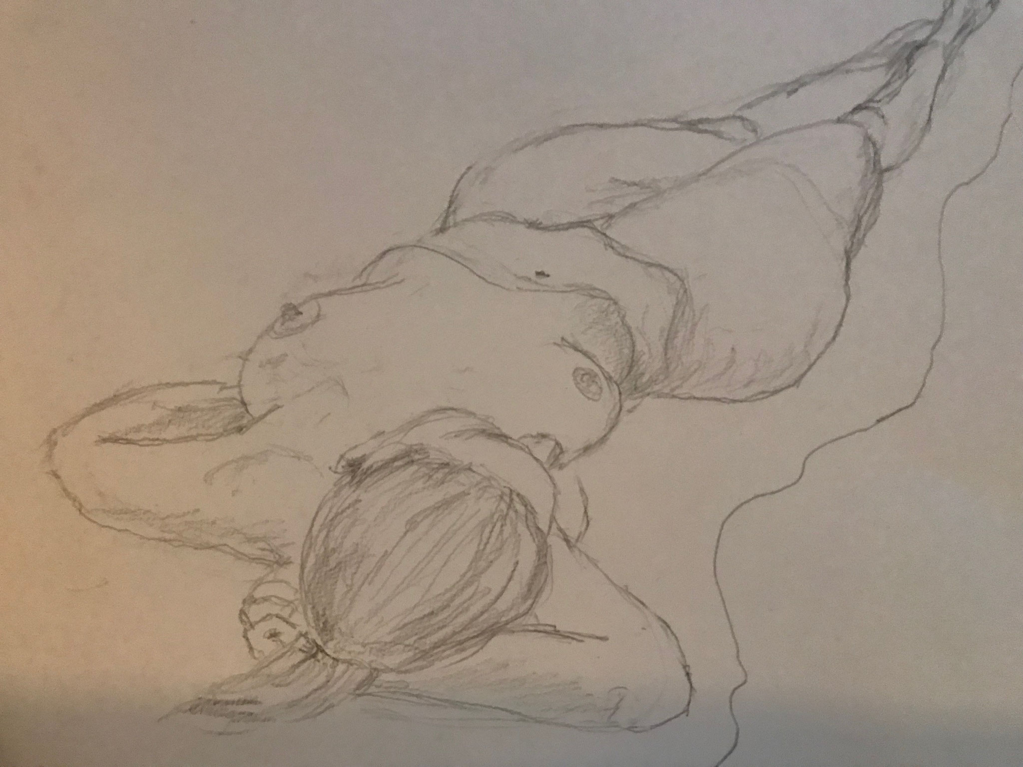 Aktskizze, 30x40cm, Bleistift