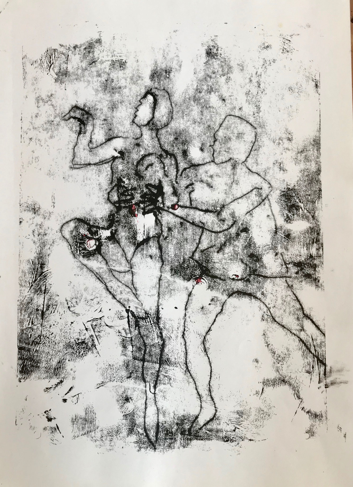 Monotope 30x42cm