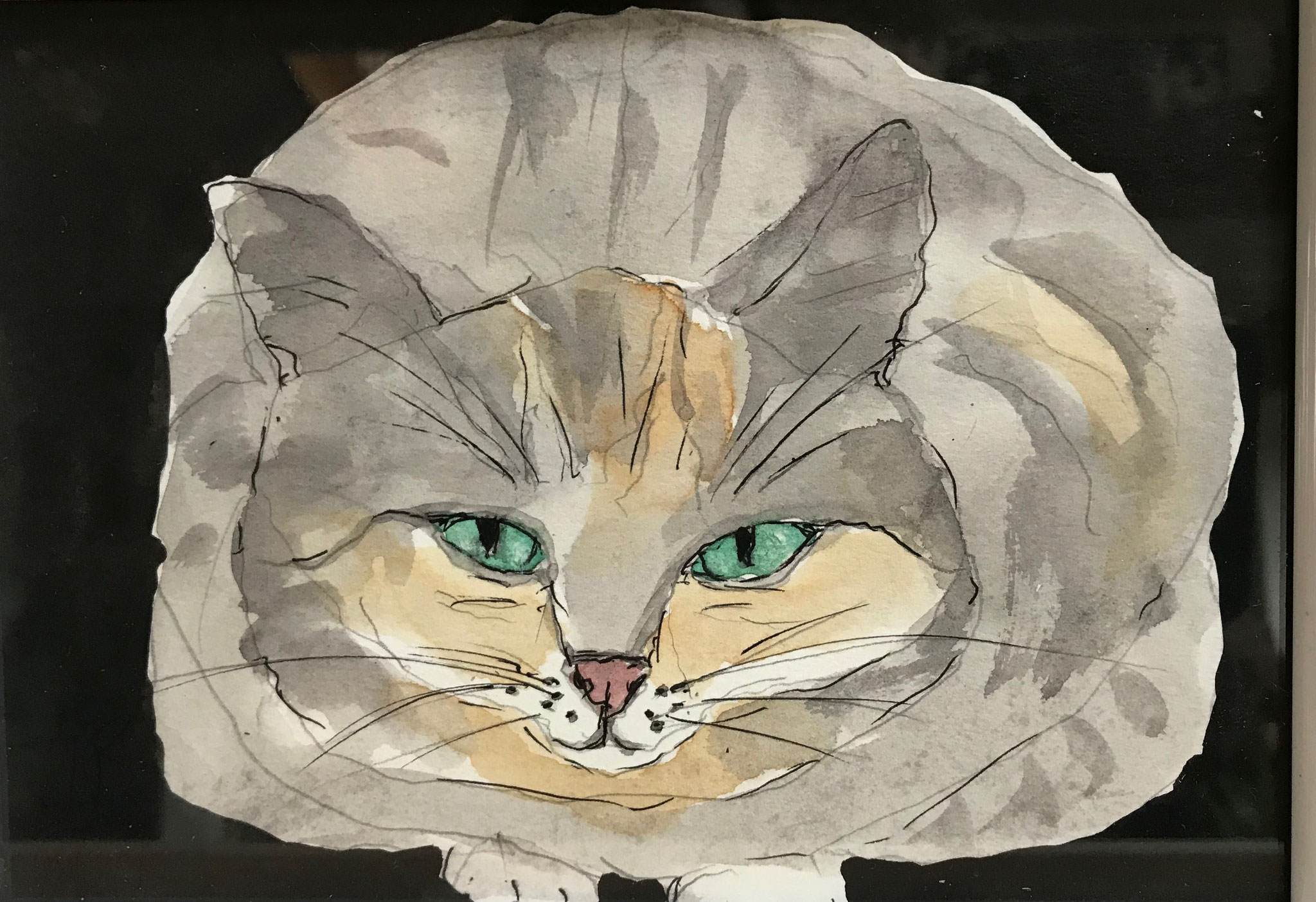 Katze, 13x18cm, Aquarell
