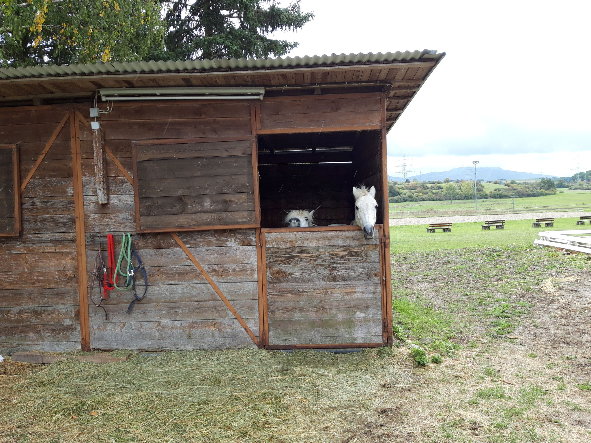 Tschüß altes Zuhause!