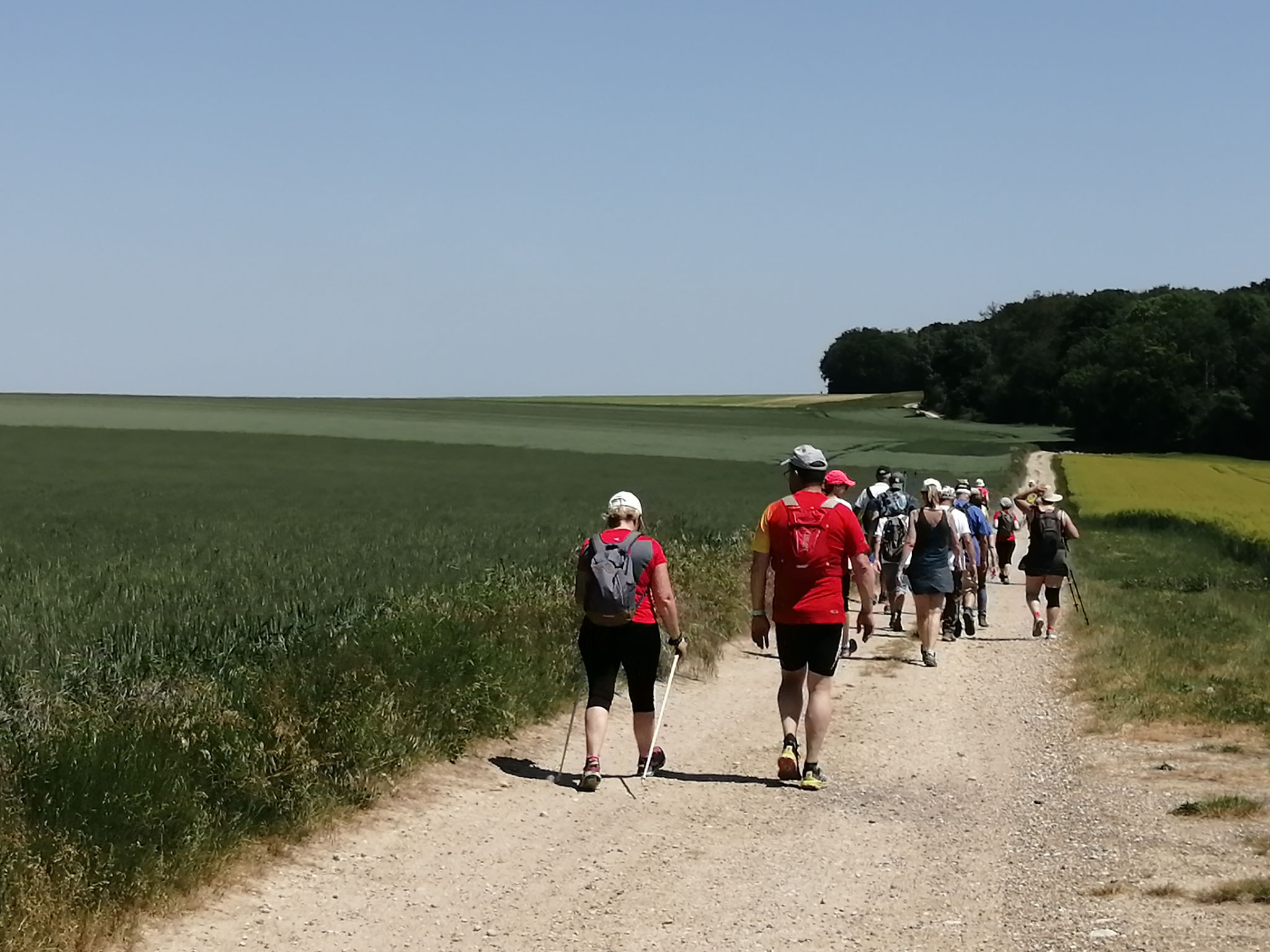 Vers le bois de Balisy ...