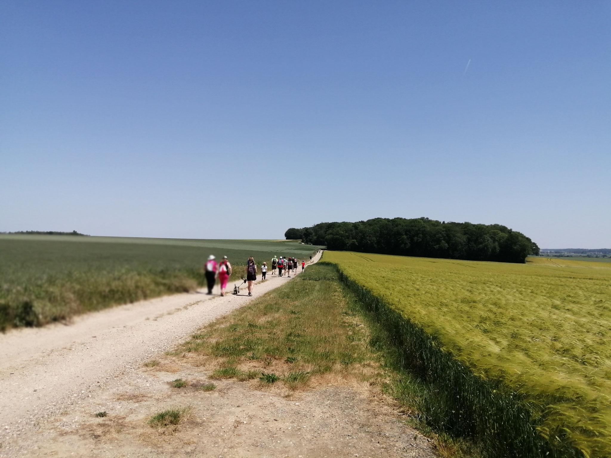 Vers le bois de Balisy