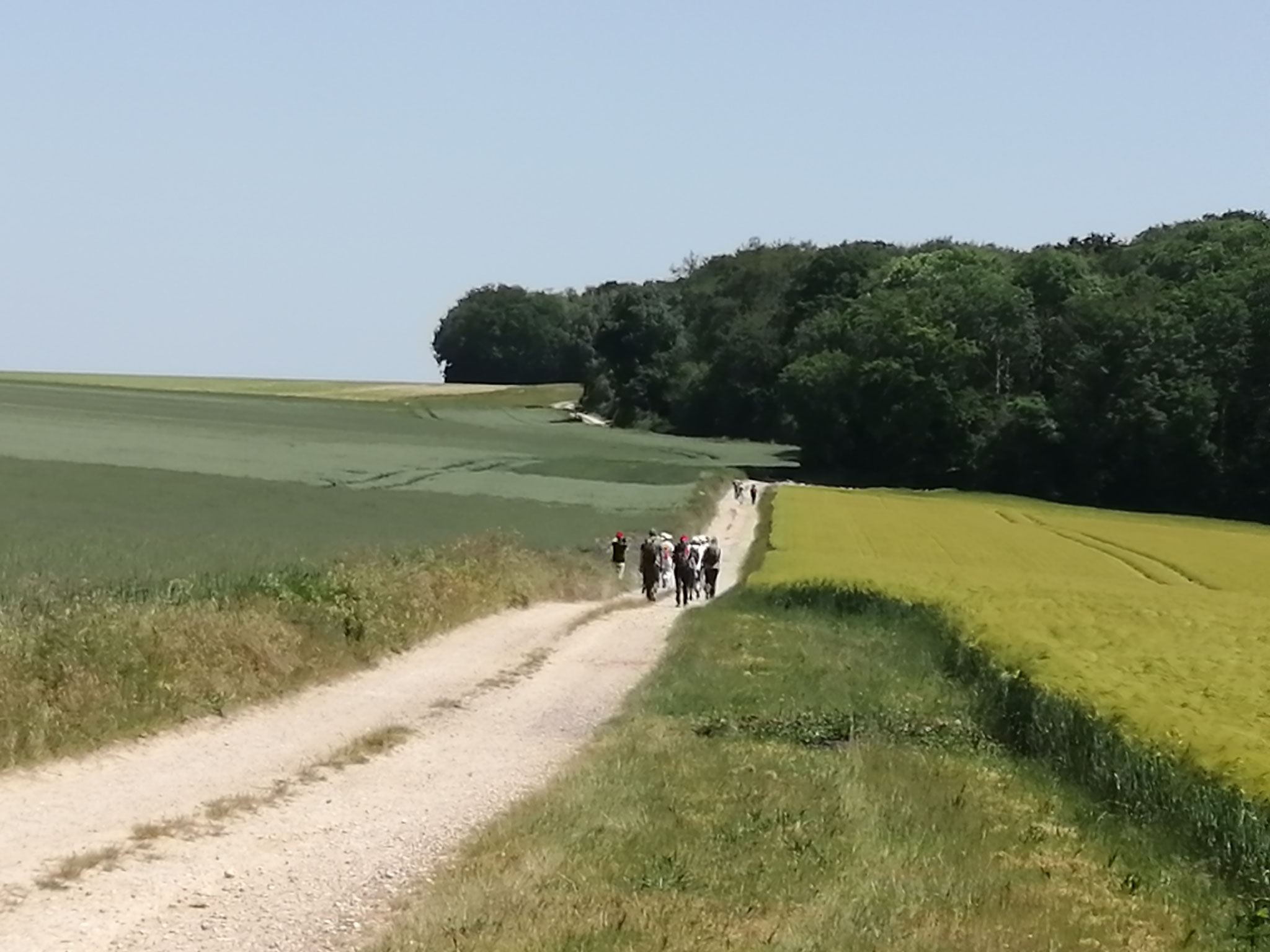 Vers le bois de Balisy ...