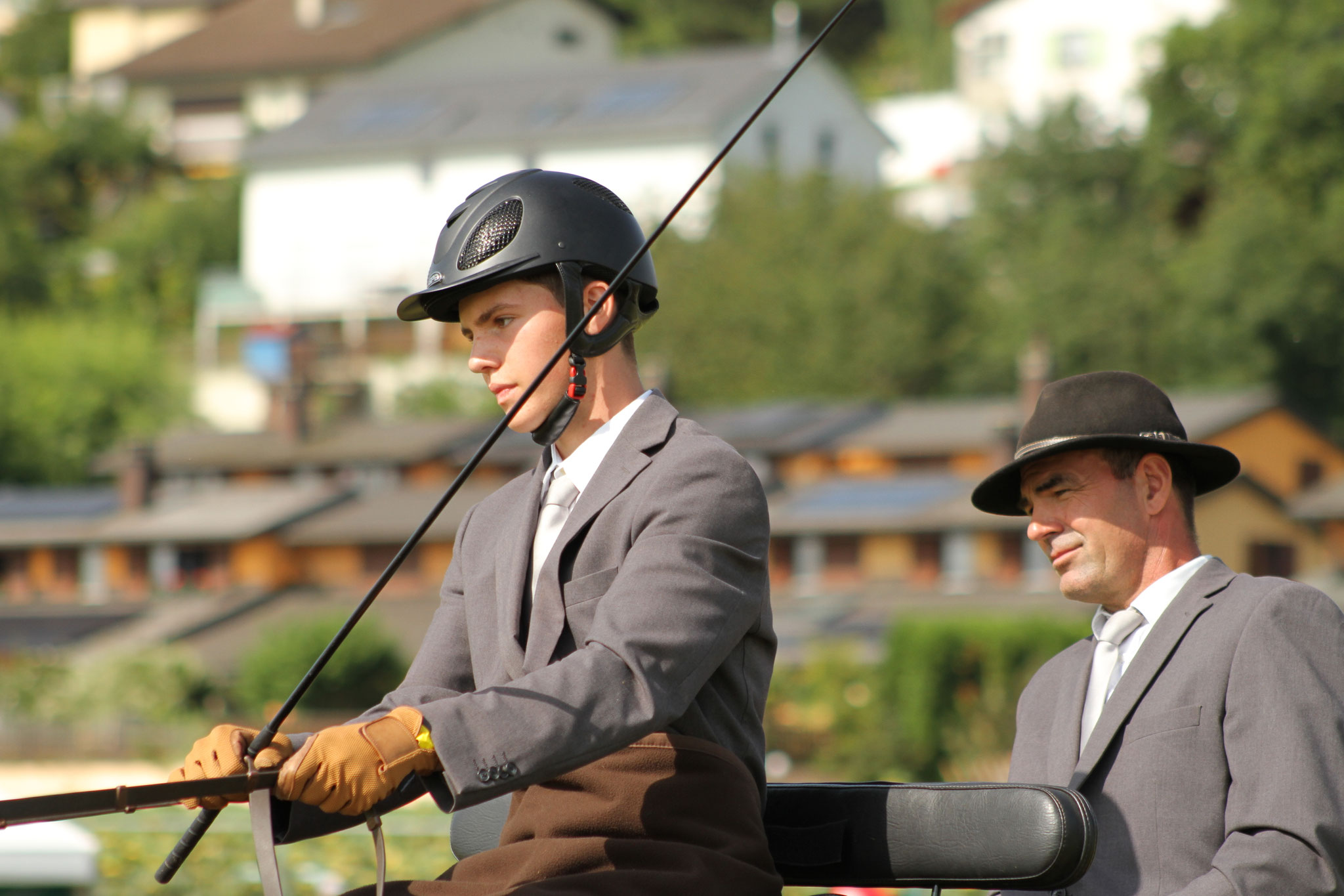 Familie - Webseite der Freibergerzucht BW