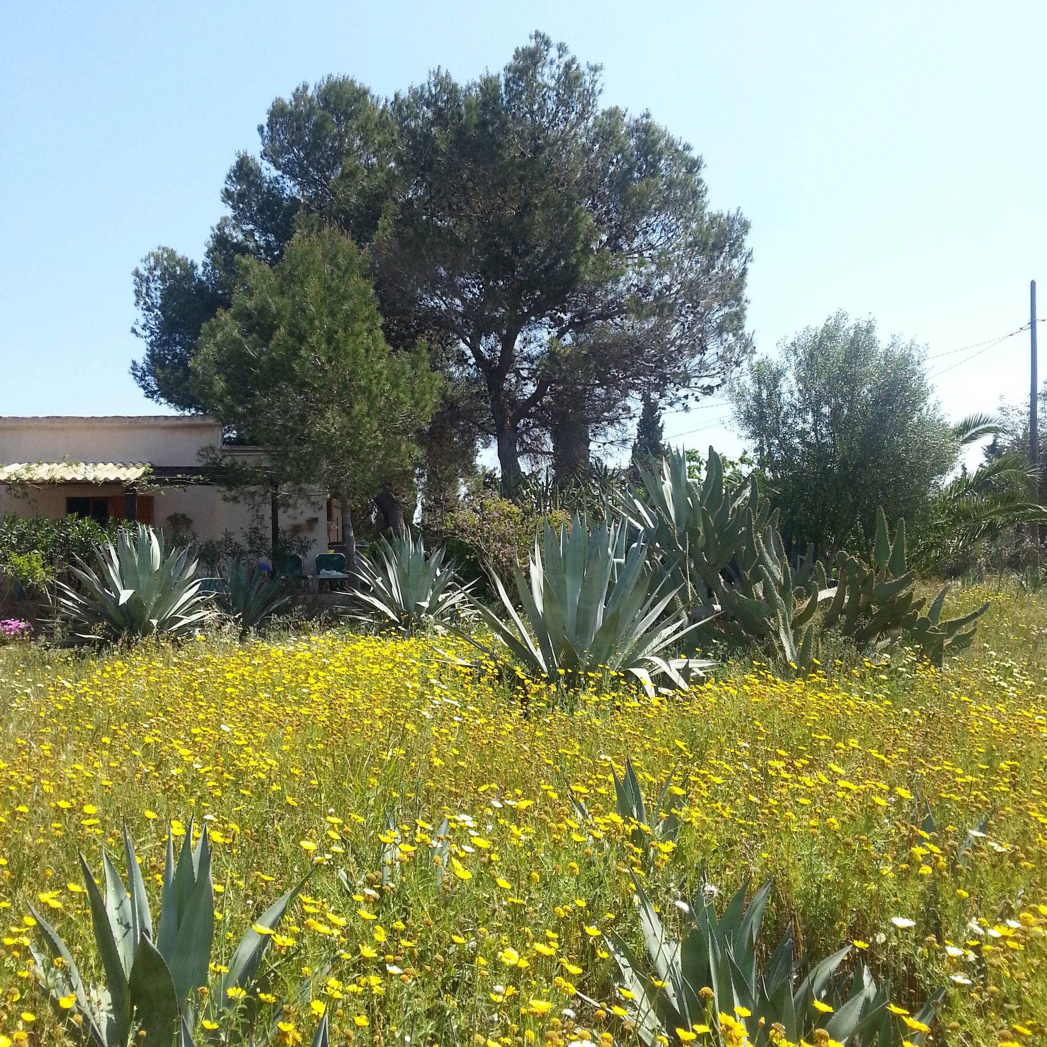Piedra Negra - Kleines Paradies, Mallorca