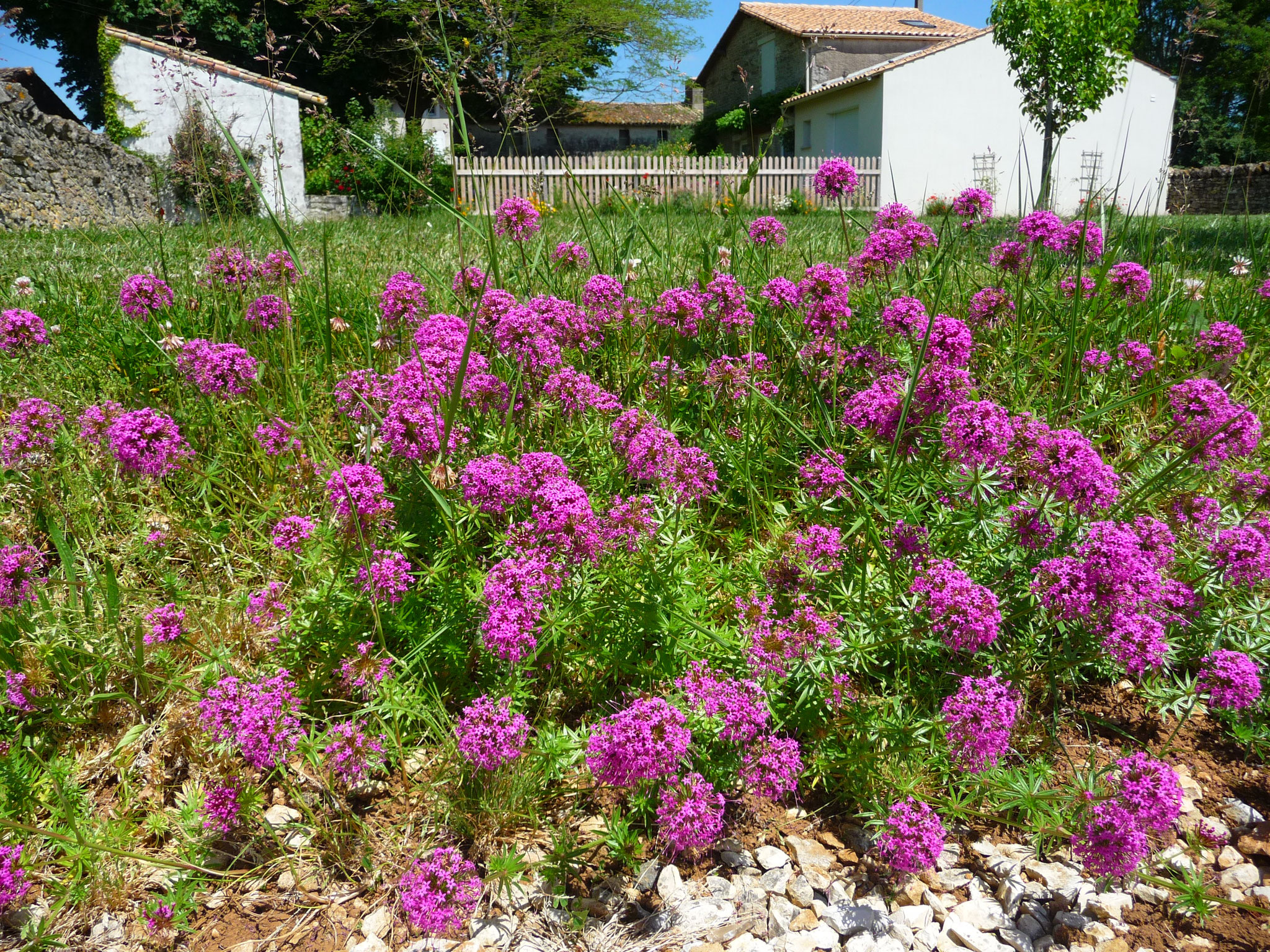 Gîte La Ponne, dans le jardin