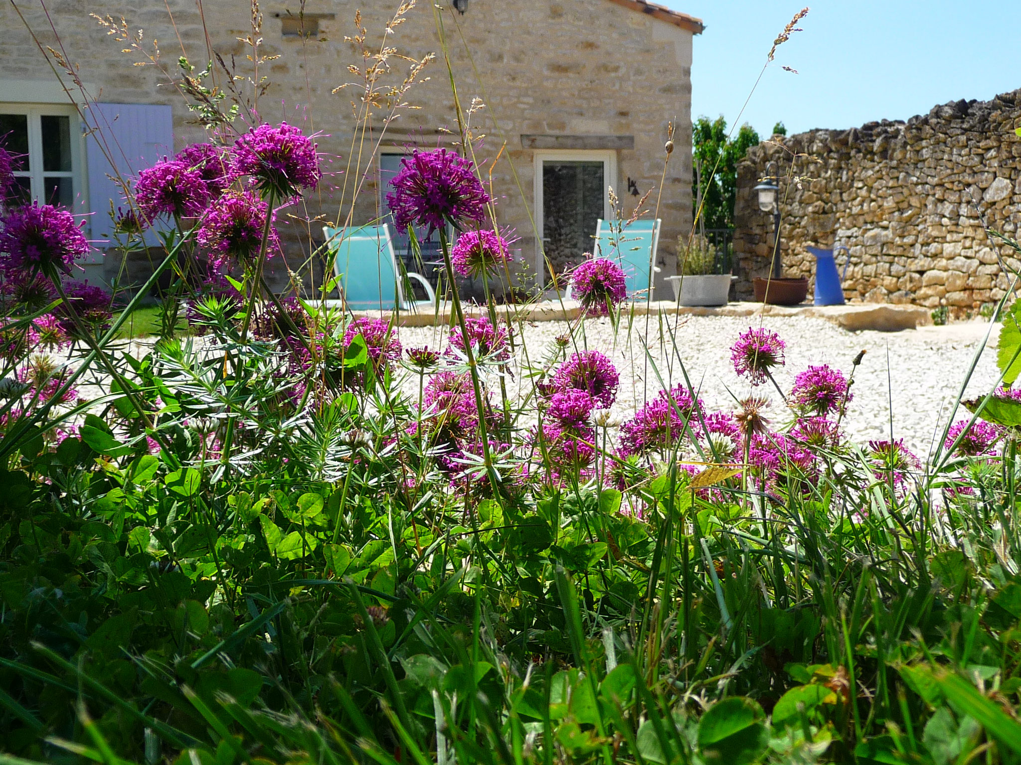 Gîte La Ponne, jardin, parking, terrasse