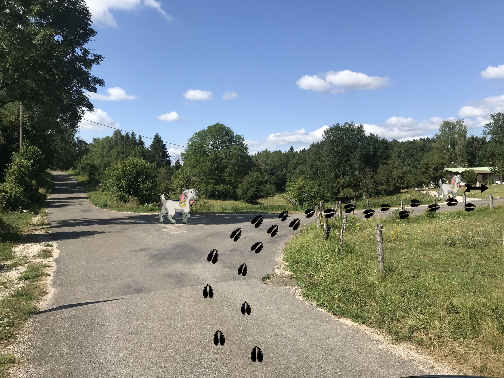 ETAPE 3