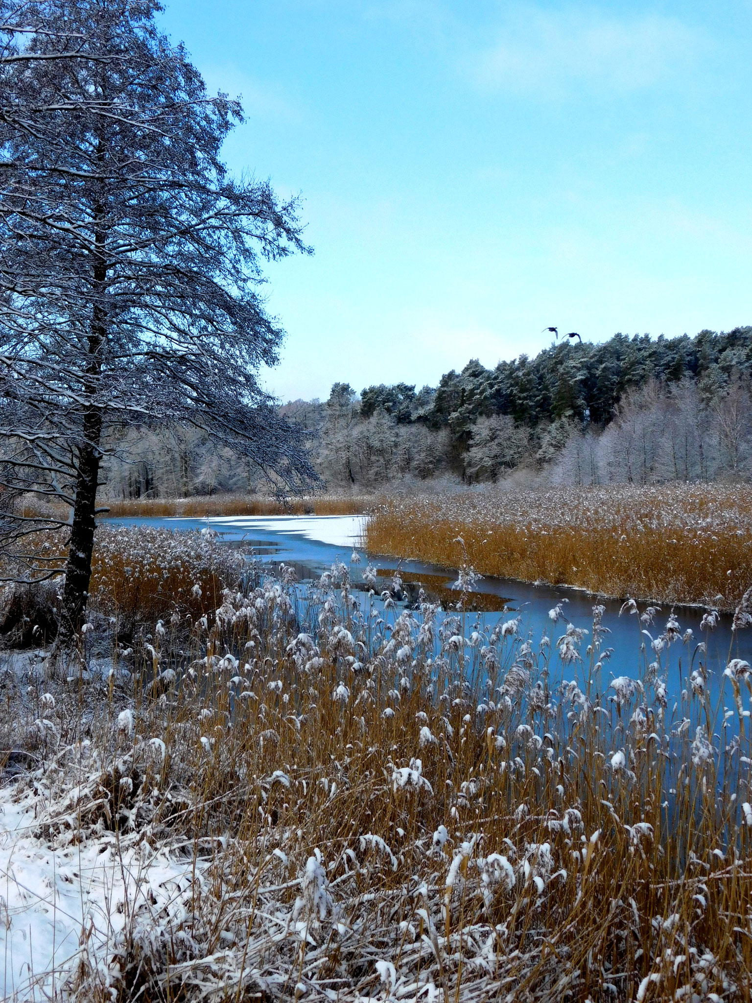 Templiner Kanal am Wiesenhof