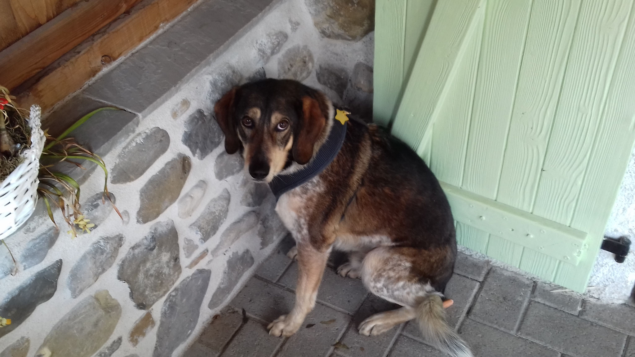 Je suis encore un peu timide !