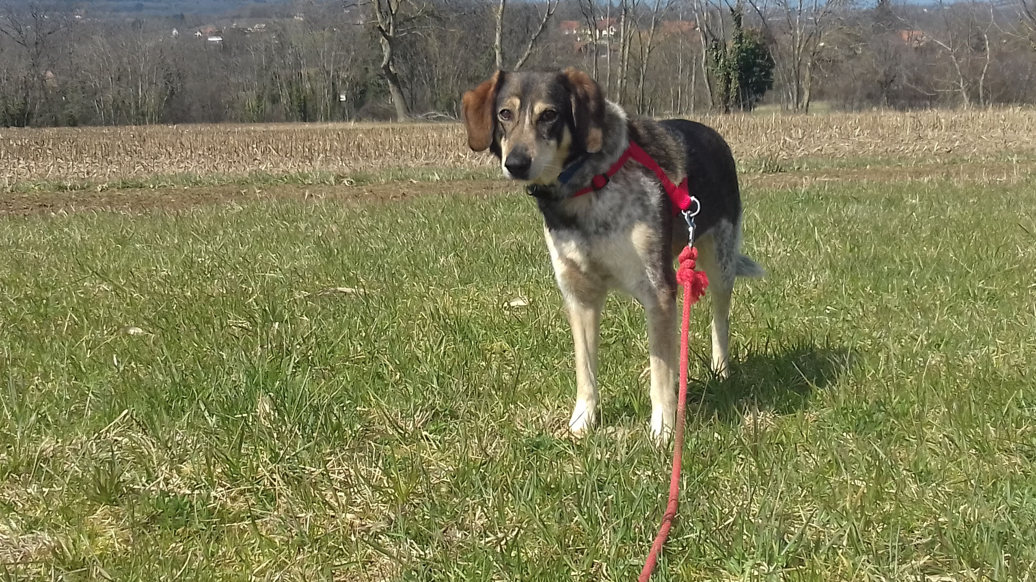 Ah le grand air, les grands espaces, je suis gâté