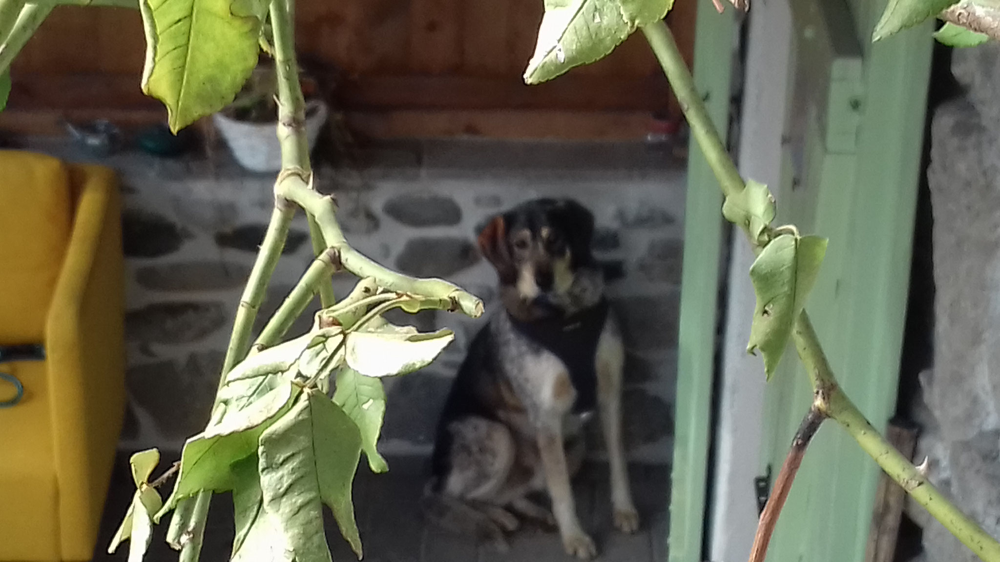 Qui m'a découvert ???