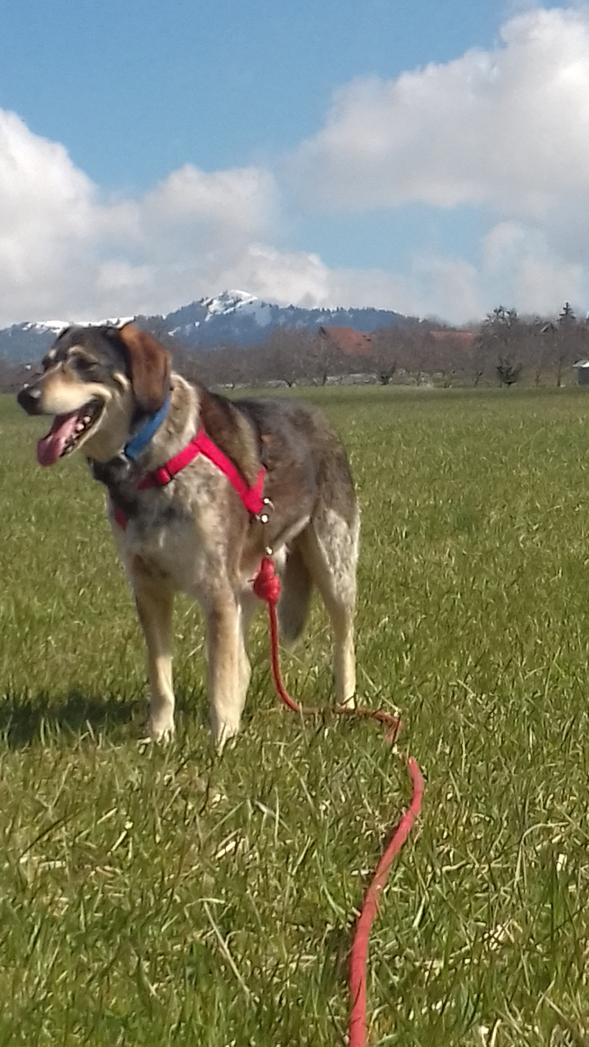 J'adore les balades. 