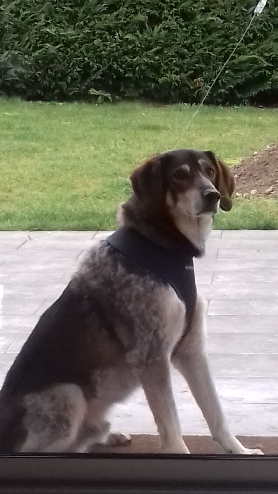 Avez-vous vu ce changement dans ma posture ?