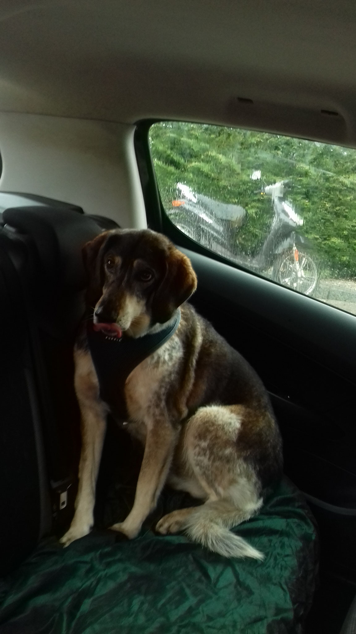 Je sais déjà tirer la langue......