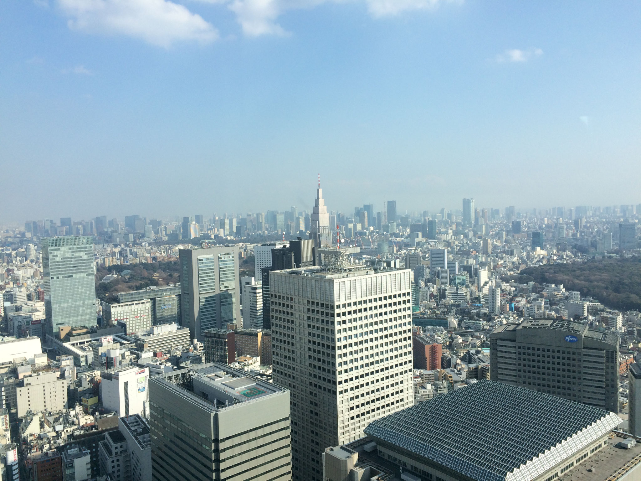 Tokios Skyline - leider nicht so spektakulär wie in Shanghai... 