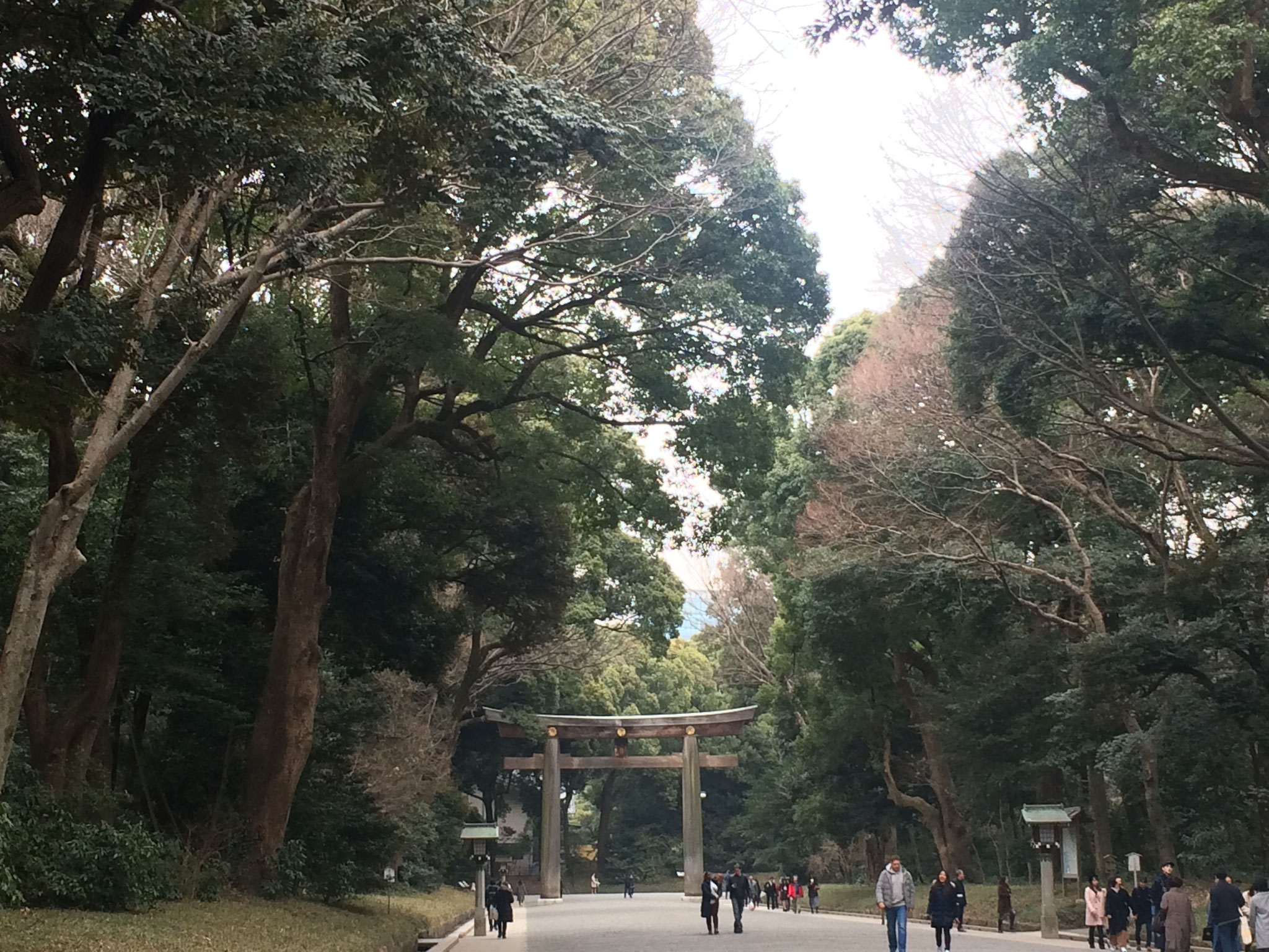 Durch den Park zum "Meiji-Schrein"