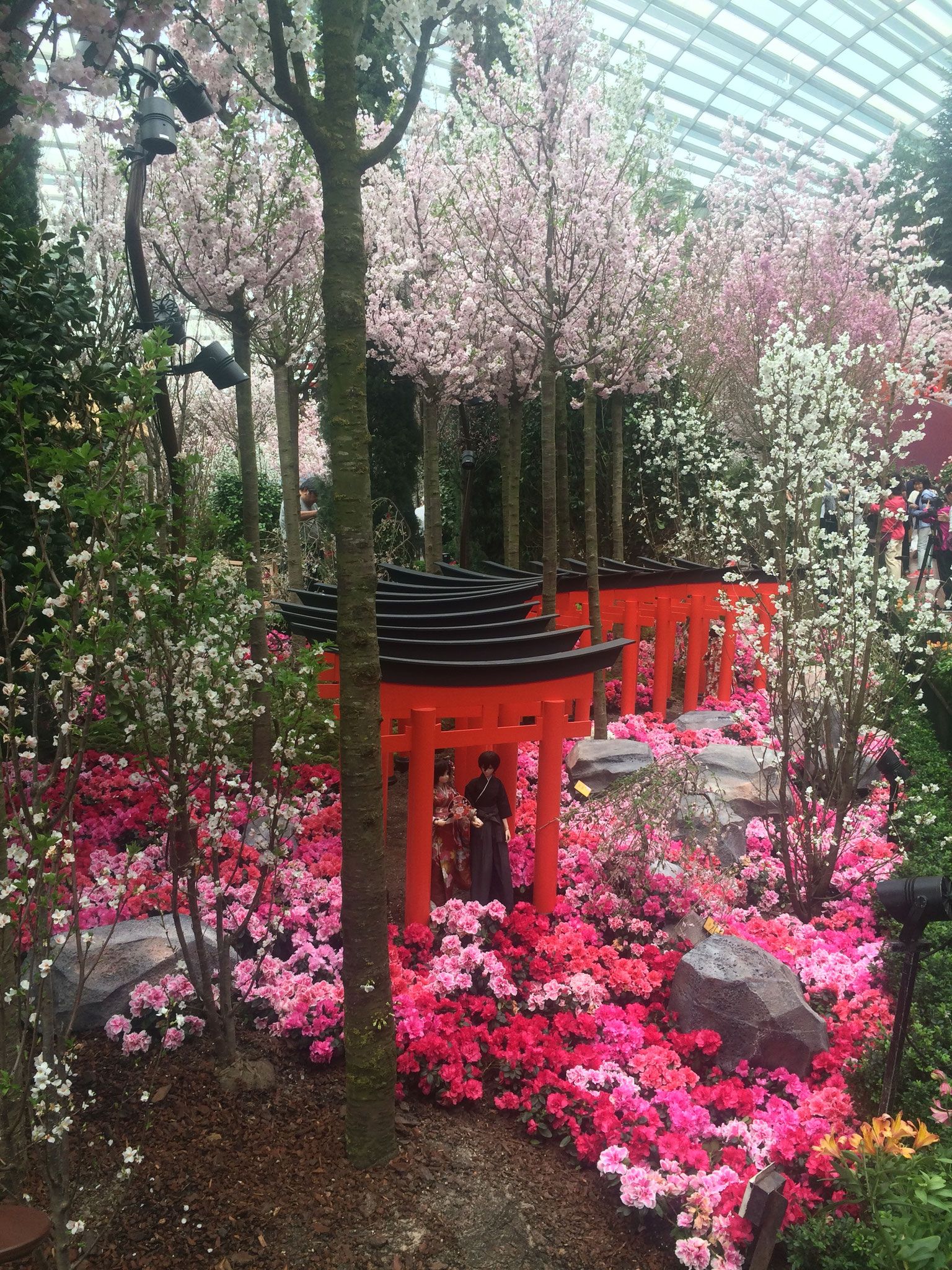 Da momentan in Japan das Sakurafest stattfindet, stand auch der "Flower Dome" unter diesem Motto ;)
