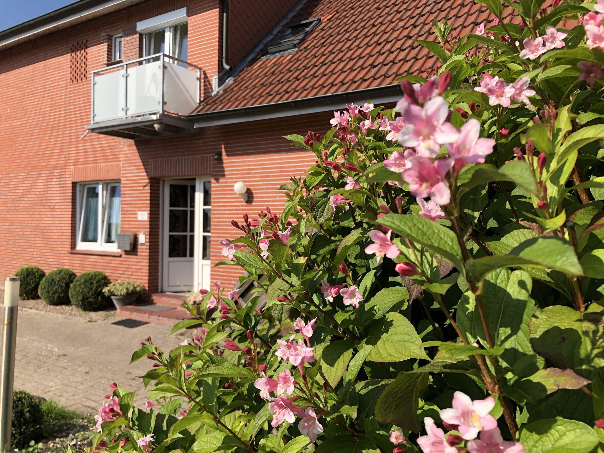 NORDDEICHER STRASSE - pensiondeichblicks Webseite!