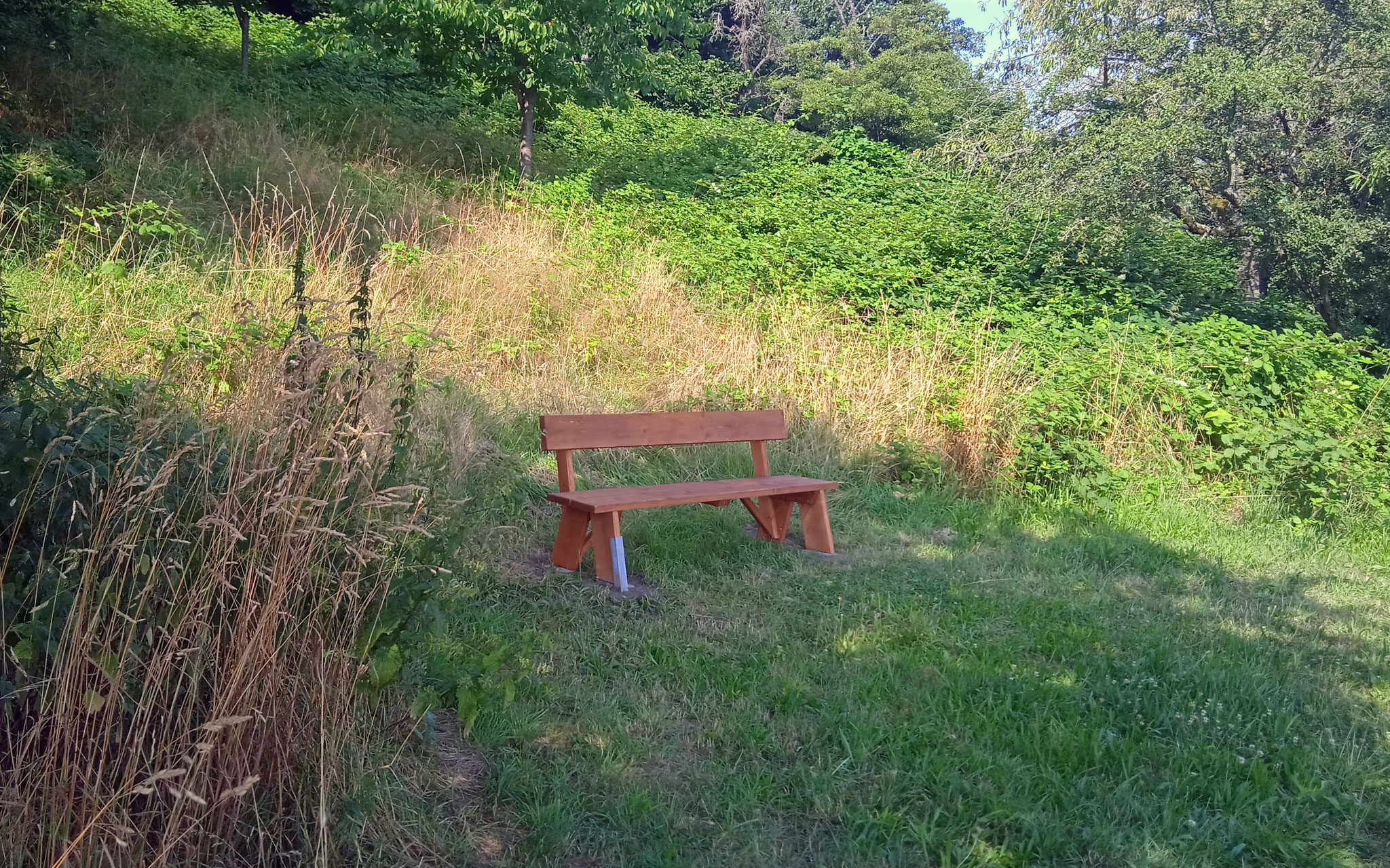 Der kleine Ruheplatz auf der Nordseite, nahe am Weg!