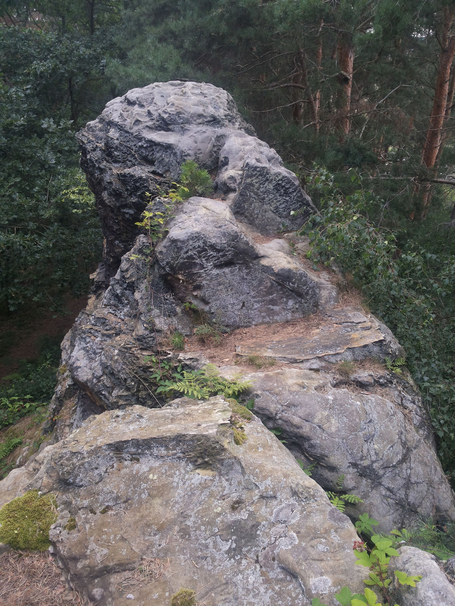 Ein Blick auf dem Rücken entlang