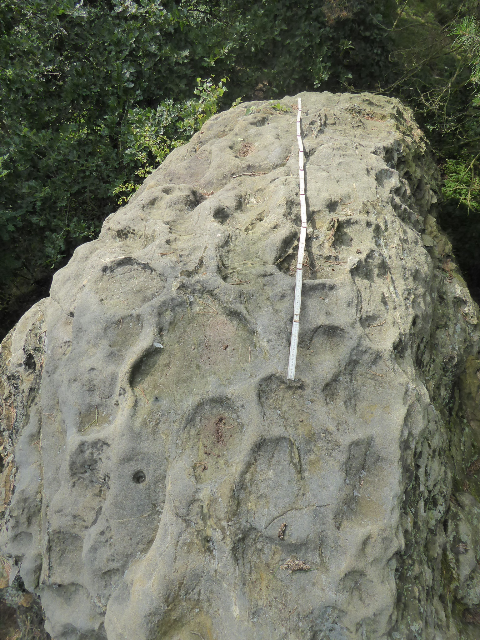 des Felsens zeigt zum Steinkistengrab und zum Hoppelberg