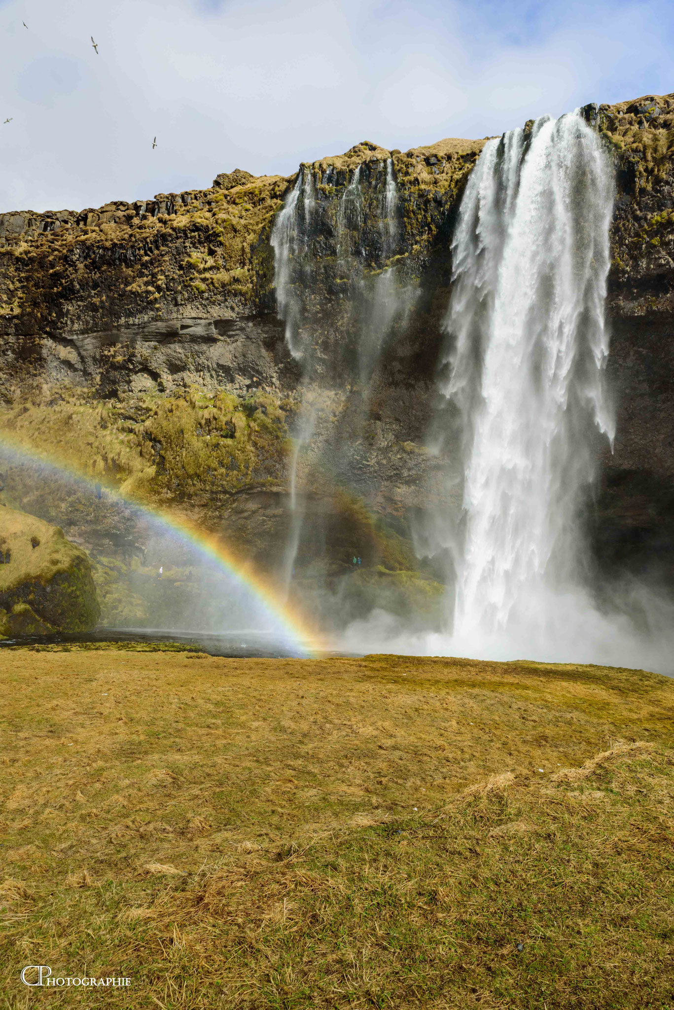 Photo 9 - Majestueuse Seljalandsfoss