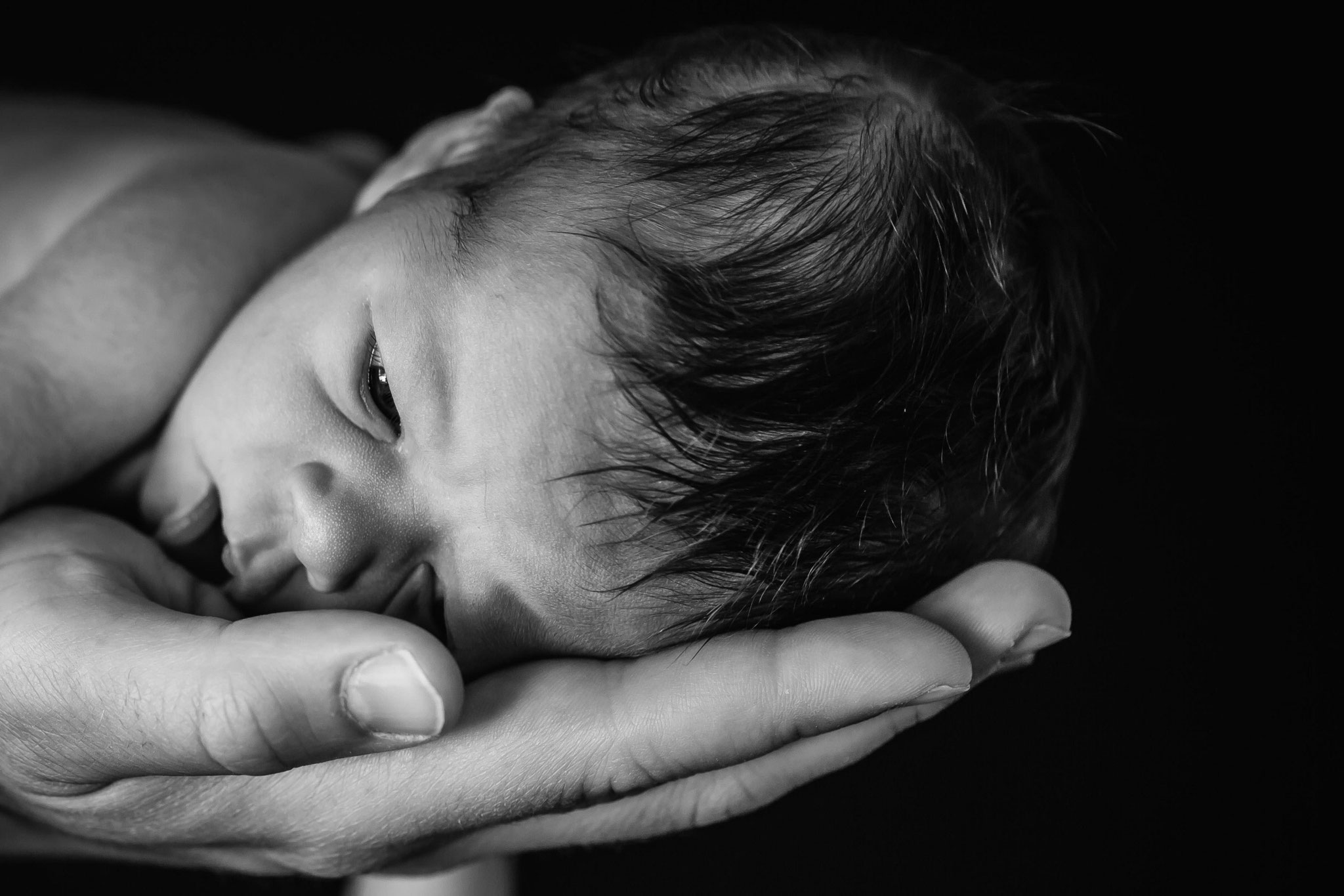 Köpfchen eines Newborn in der Hand des Vaters