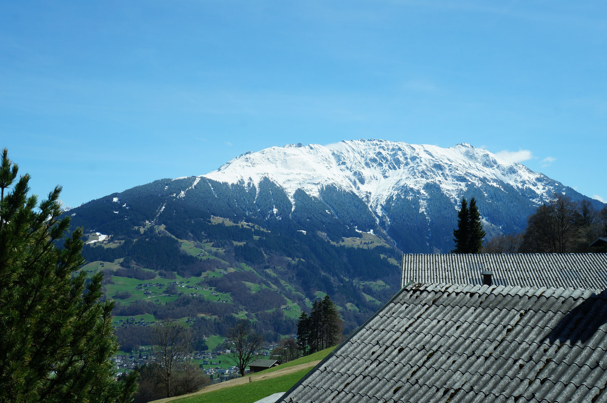 Ausblick Terrasse 2 Frühling 