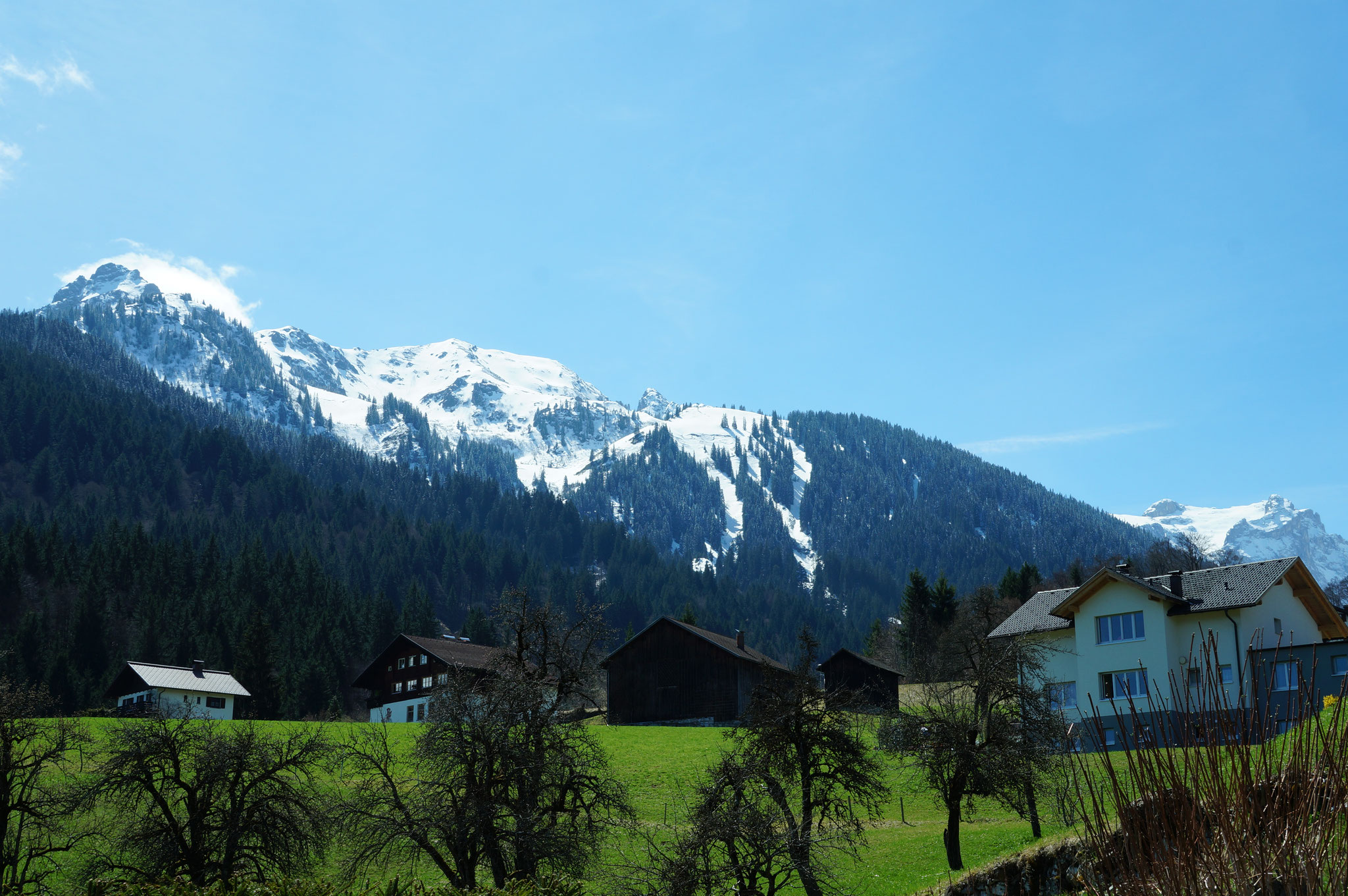Ausblick Terrasse 1 Frühling 