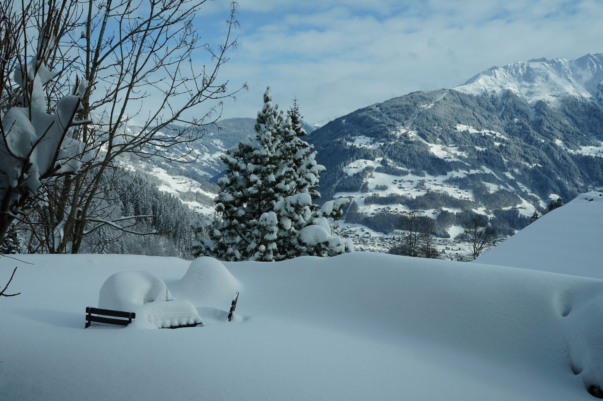 Garten Winter