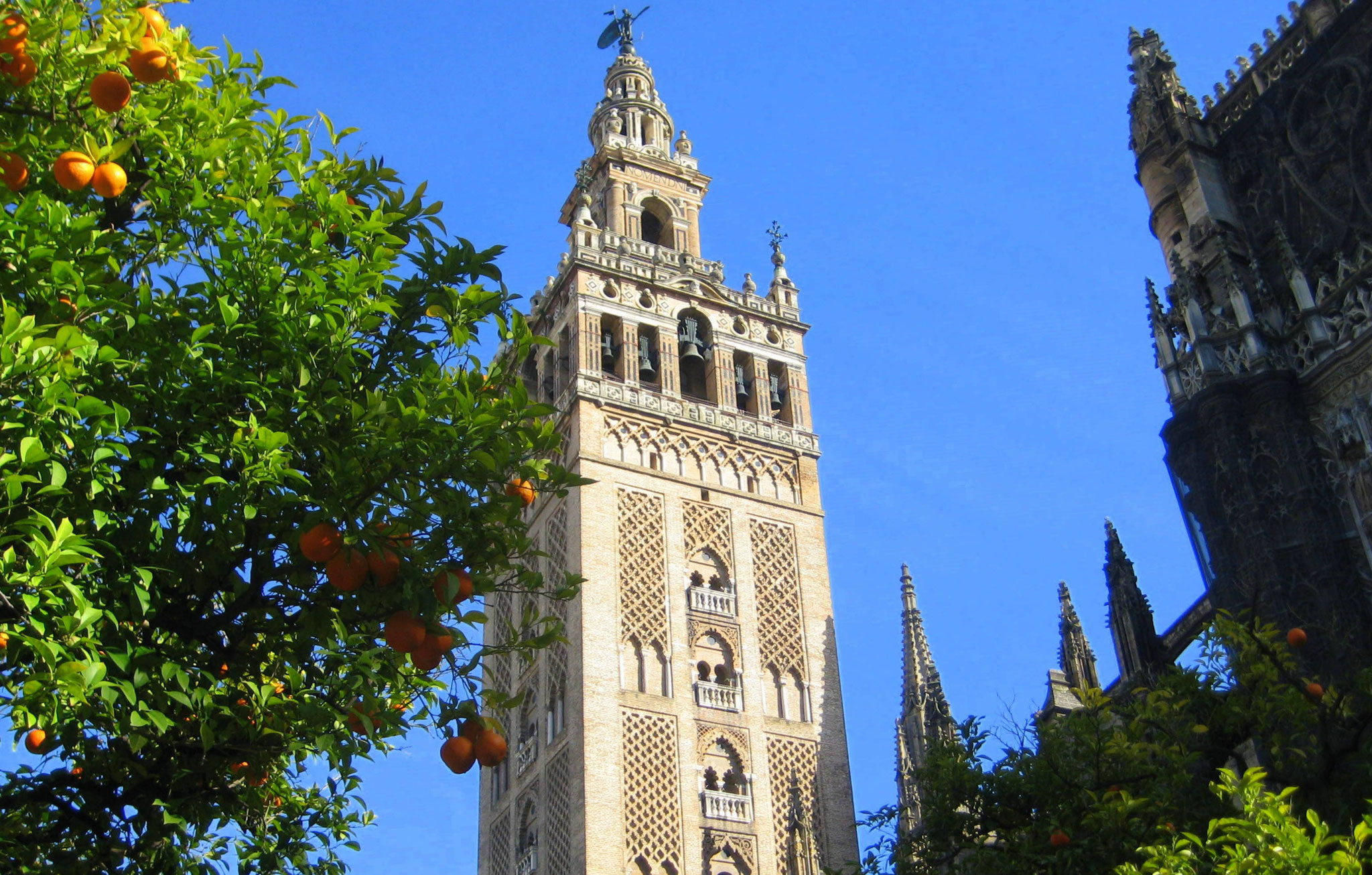 La Giralda de la cathédrale de Séville
