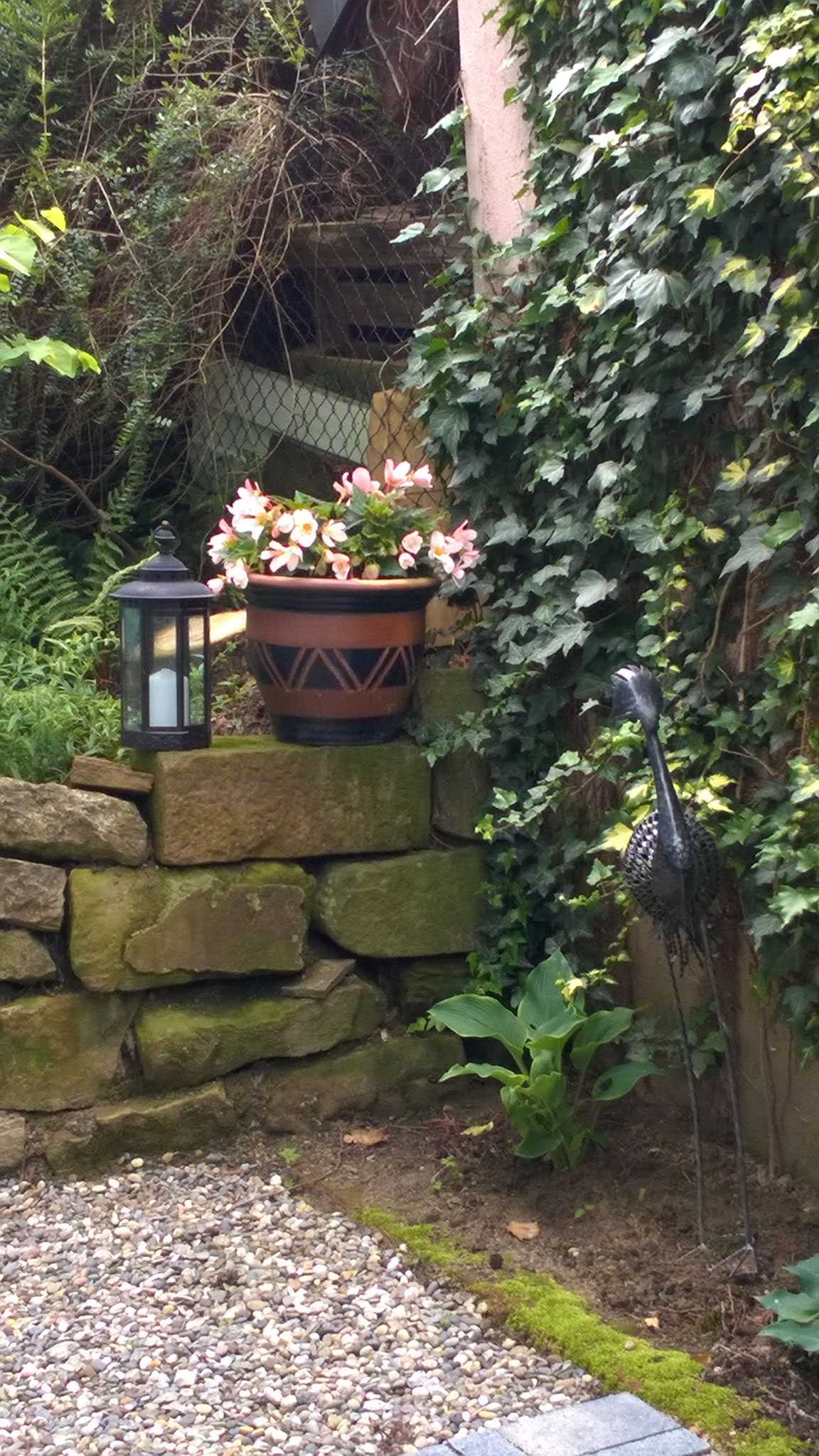 Gartenblick/ Garden view