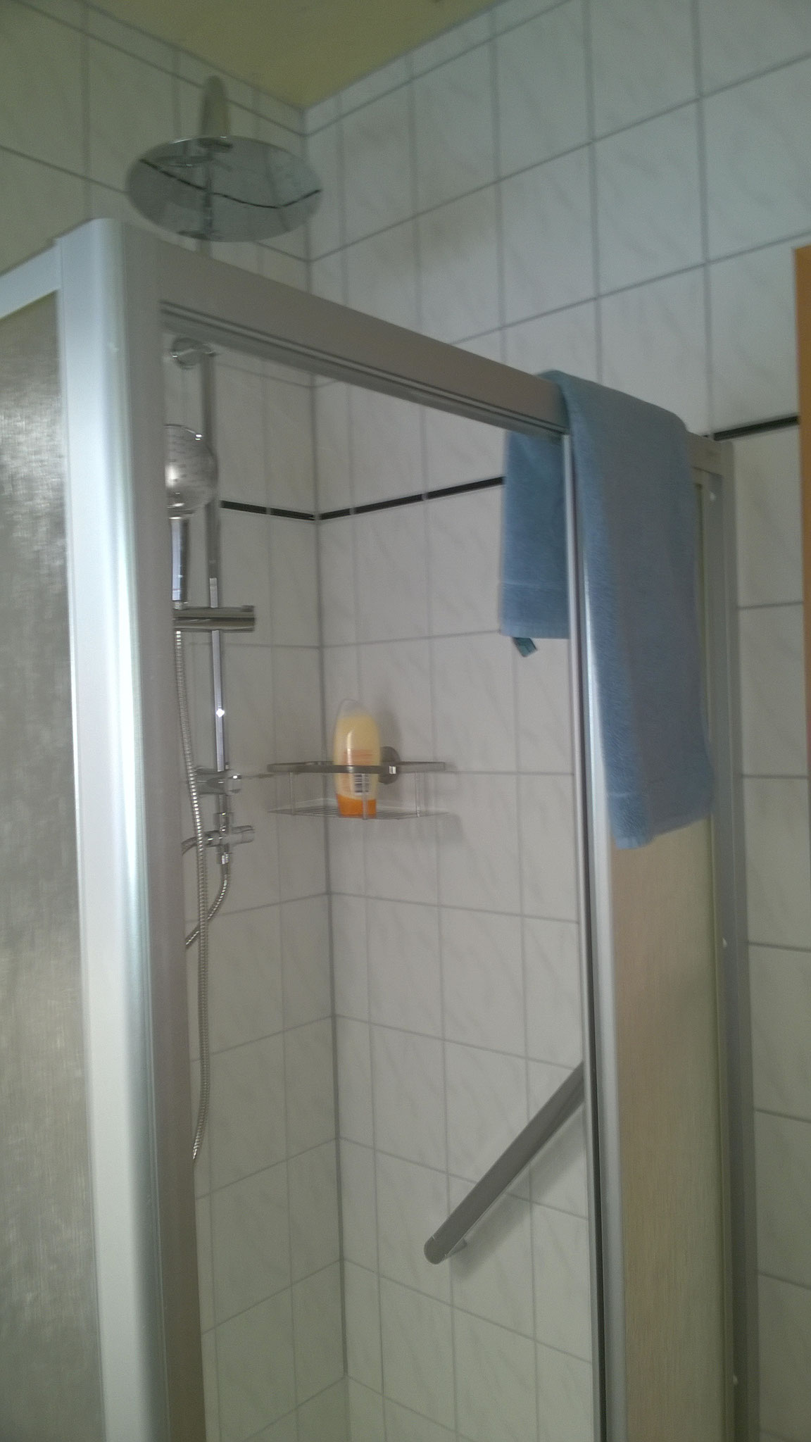 Badezimmer mit Regendusche/ Bathroom with rain shower