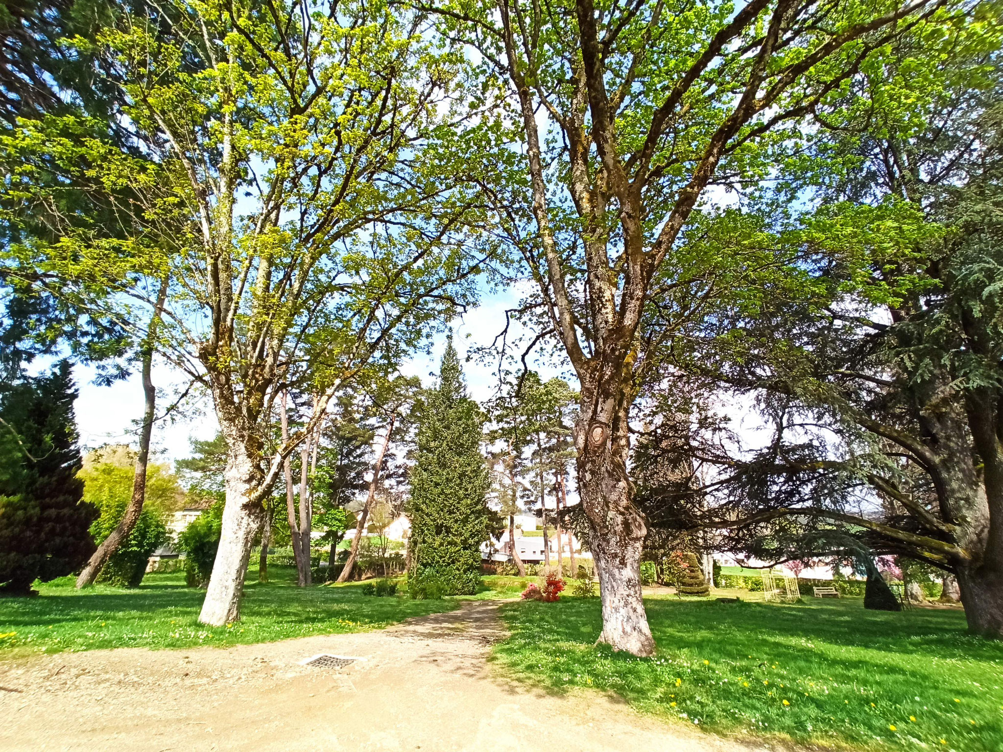 L'entrée du Parc Jane Limousin à Châteauneuf-la-Forêt donne sur son arboretum, regroupant des espèces rares provenant du monde entier.