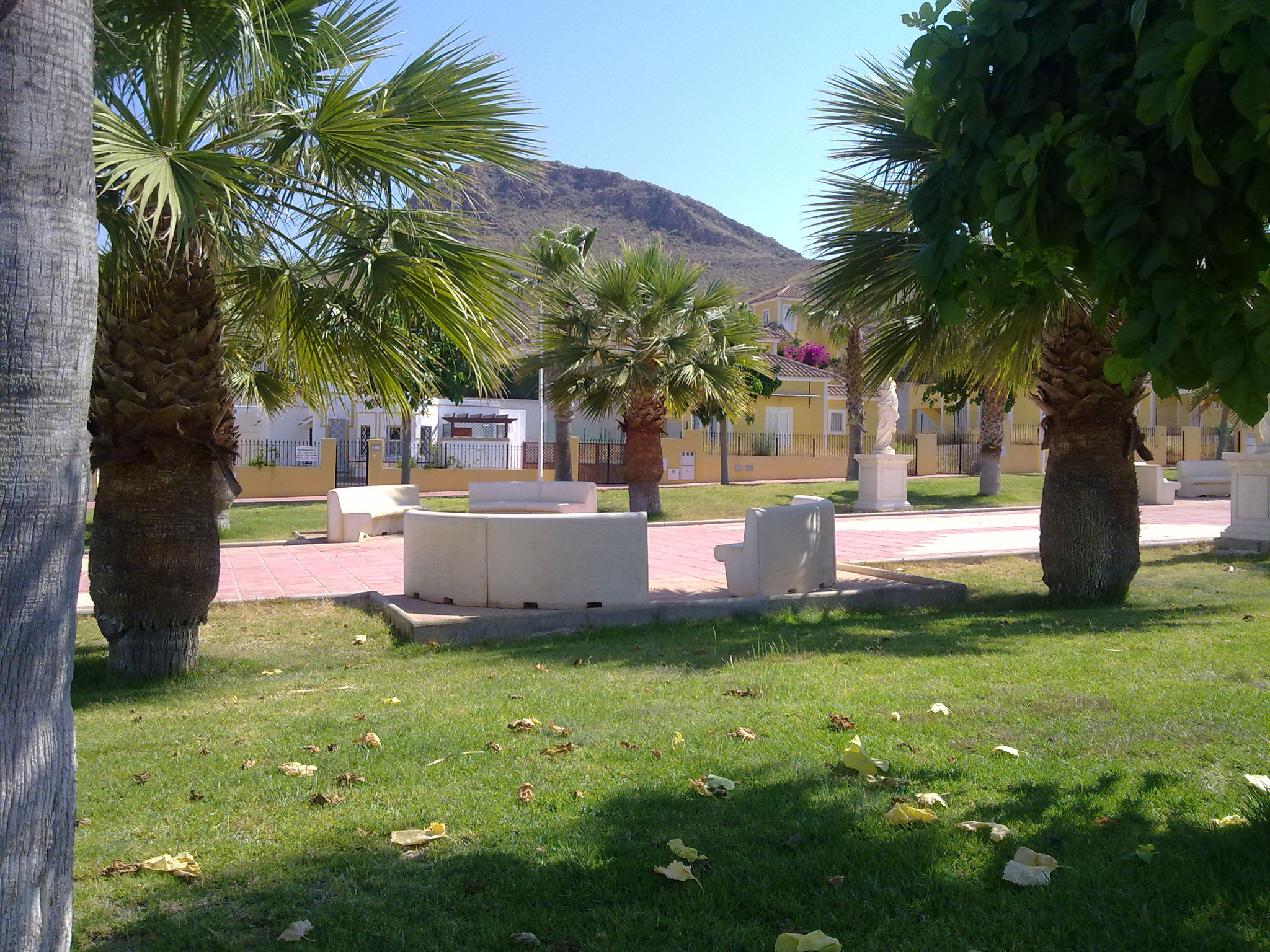 Parkbank in der Palmenallee