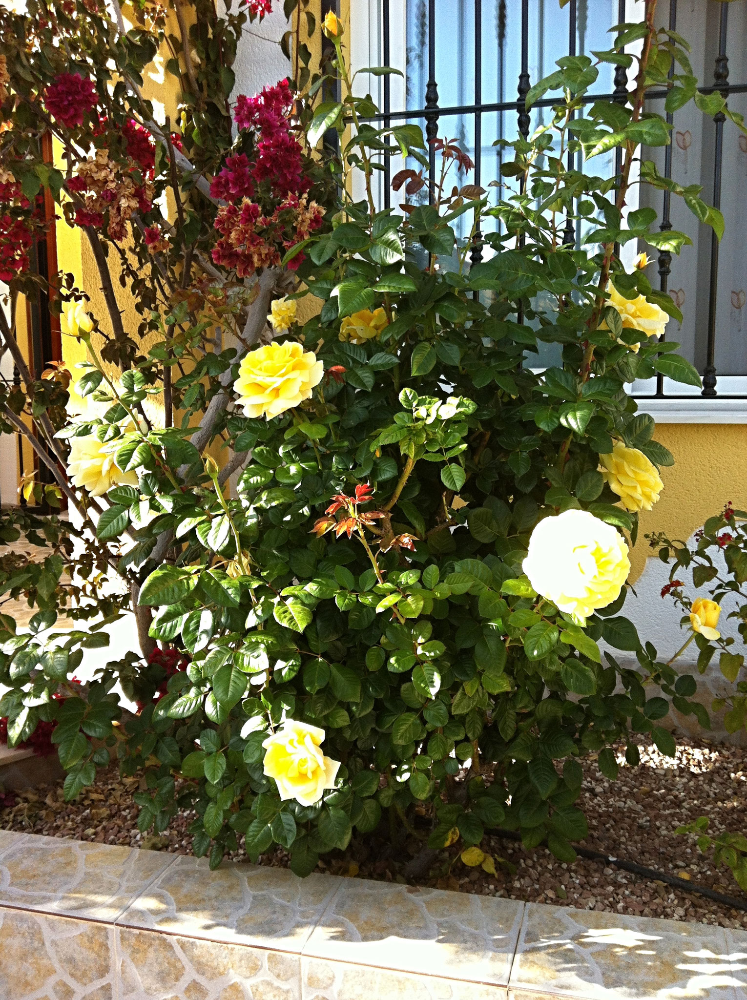 Blumen säumen den Eingangsbereich