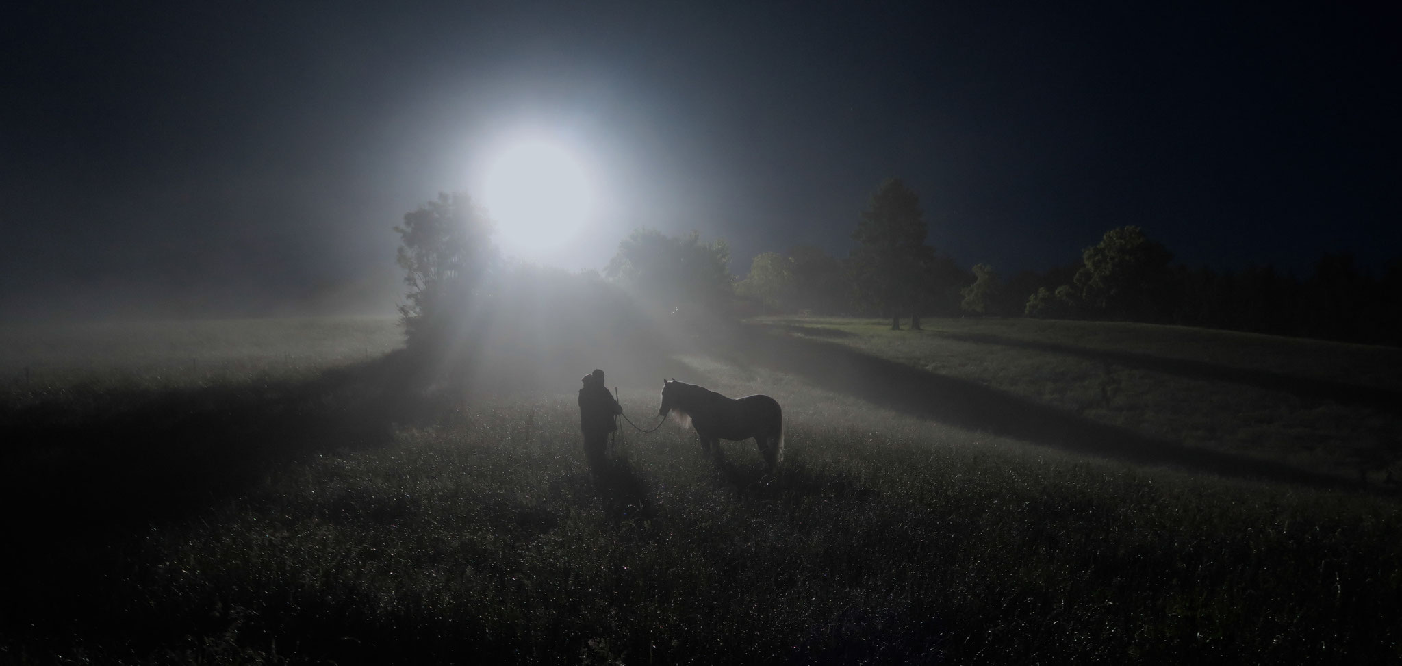 © Andreas Hoberg