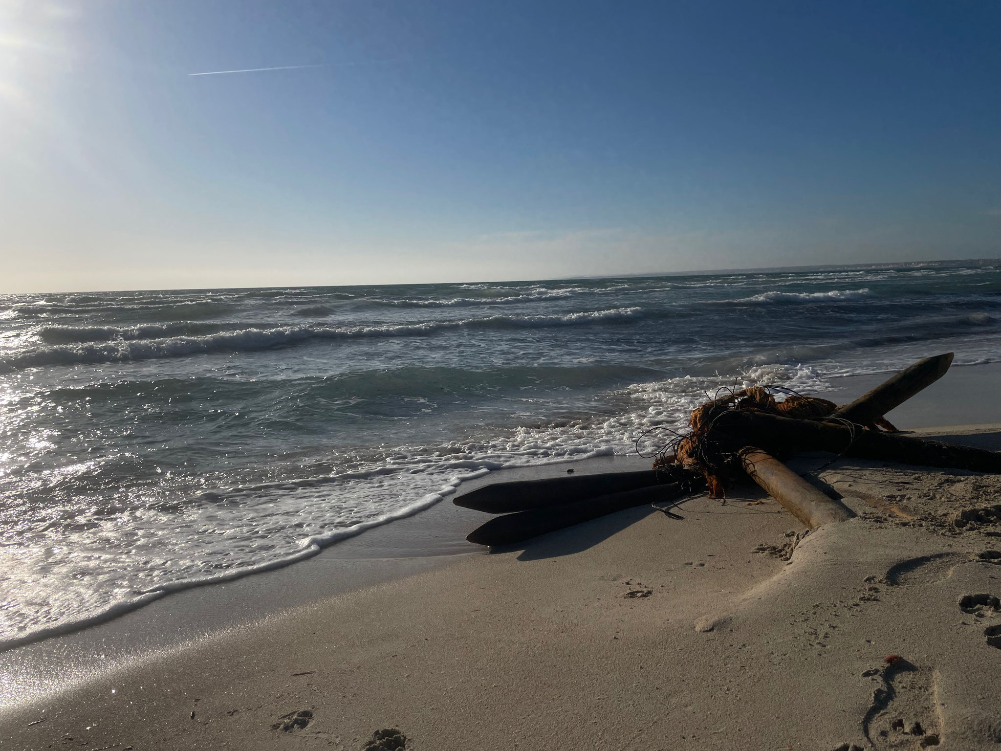 Strandgut