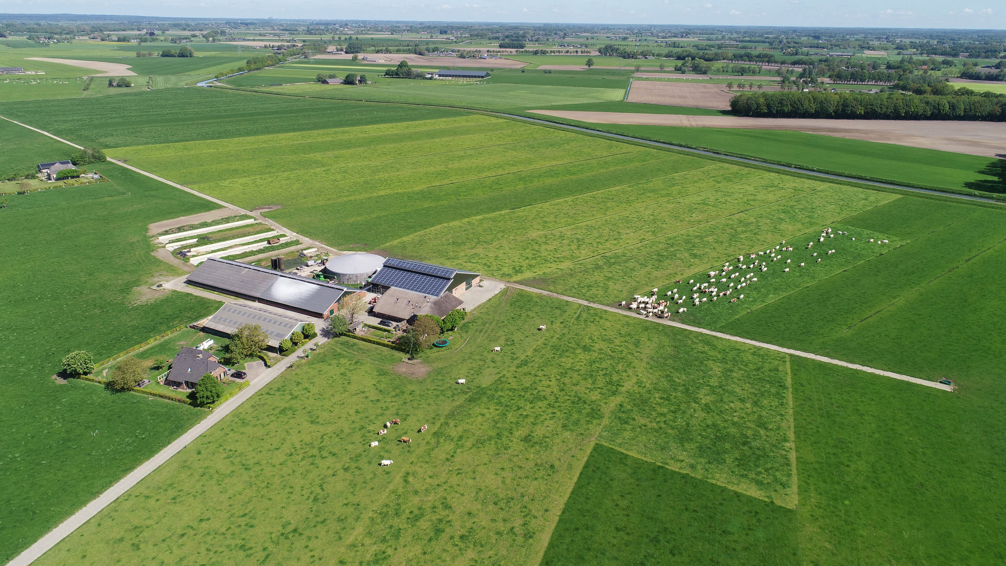 Het beweidingsschema is hier goed te zien vanuit deze luchtfoto.