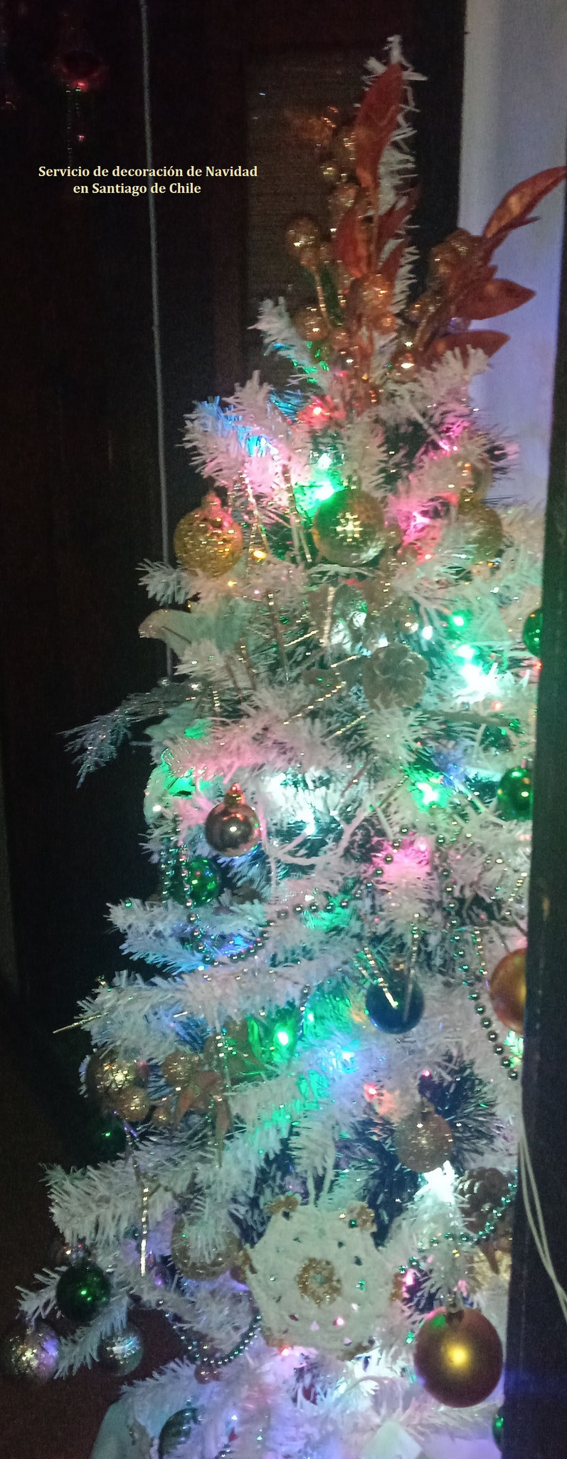 Navidad 2023