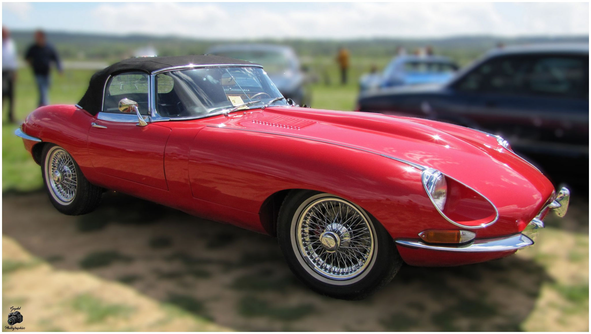 Jaguar "Type E" Face