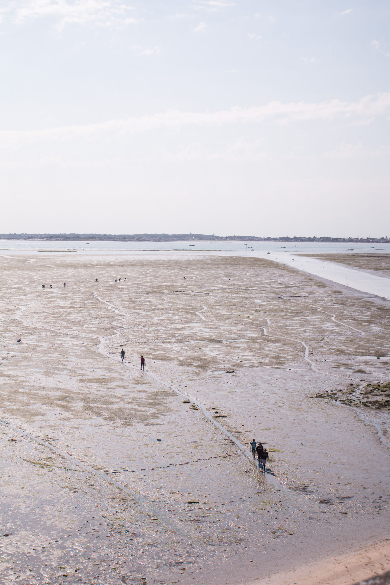 Ile d'Oleron Photo14