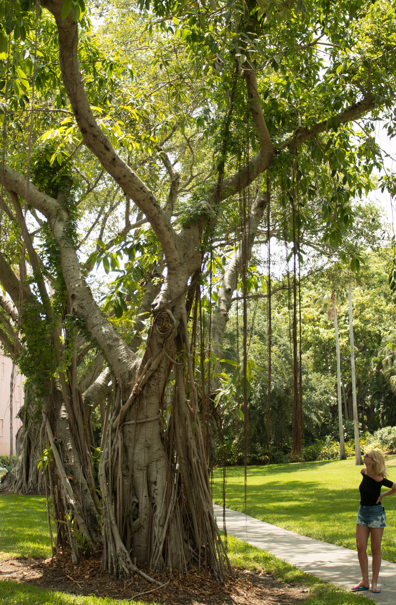 Palm Beach Florida USA Photo18
