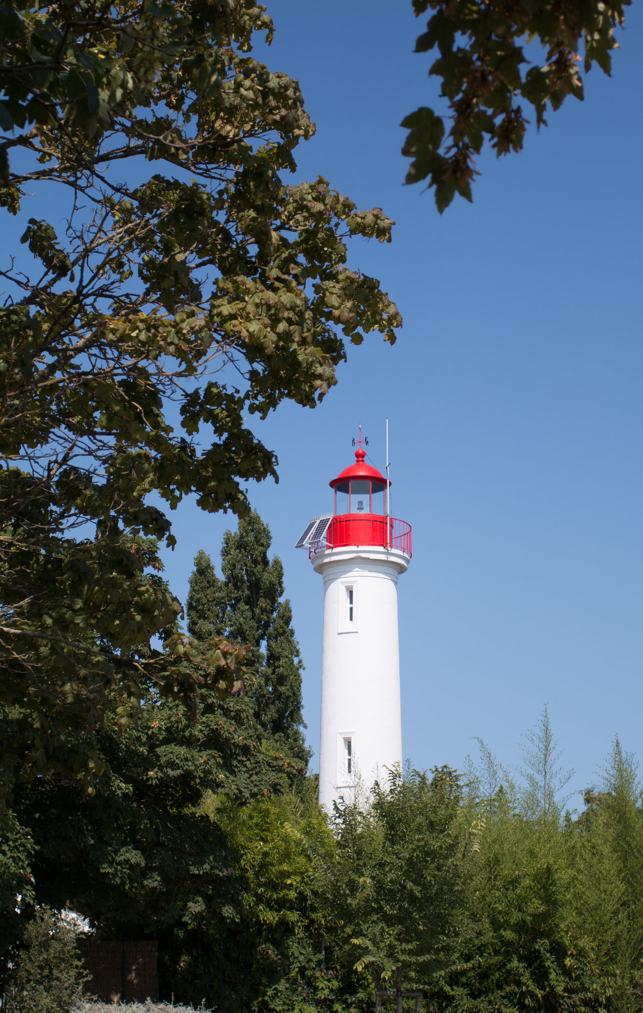Ile d'Oleron Photo10