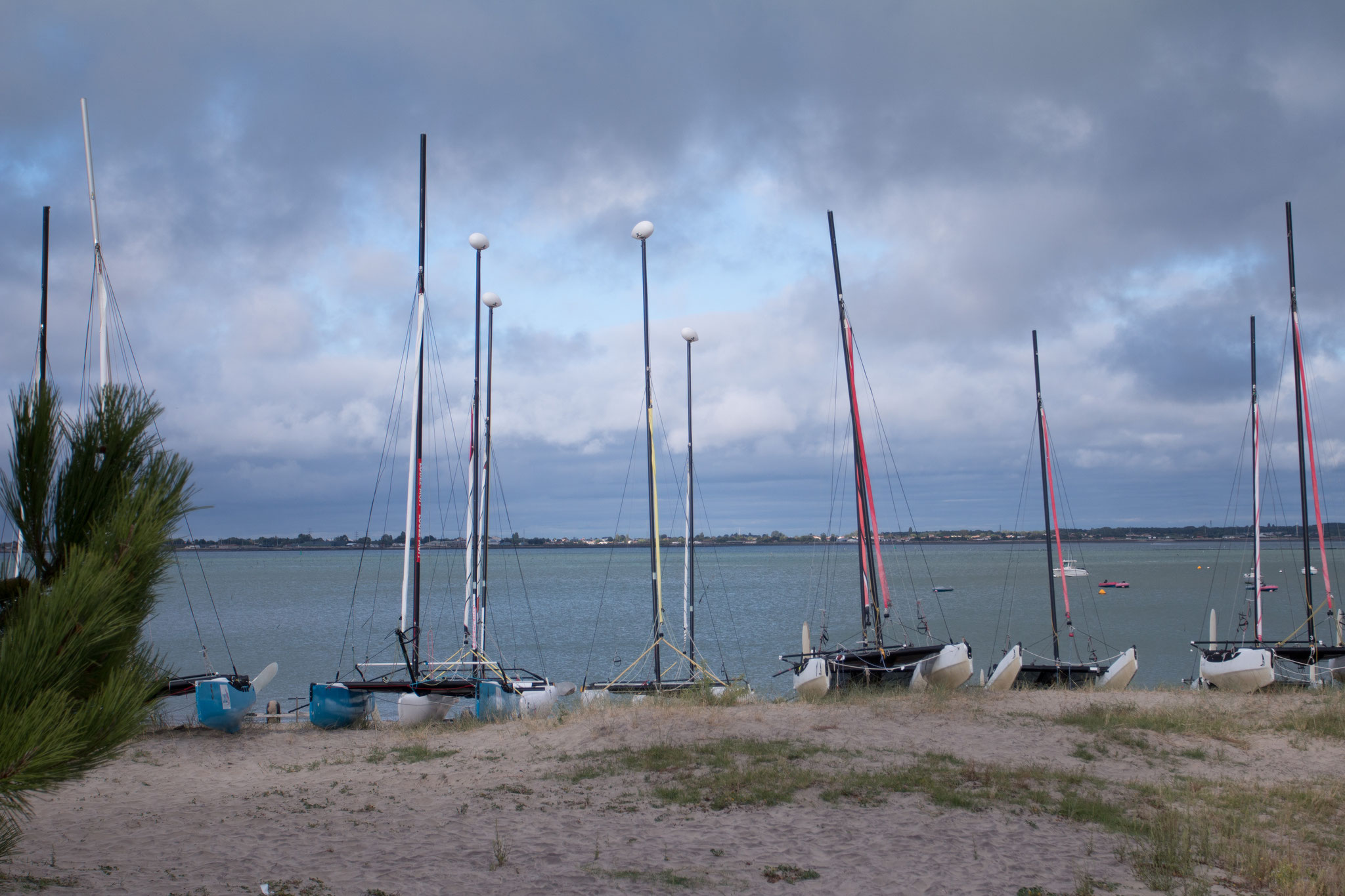 Ile d'Oleron Photo17