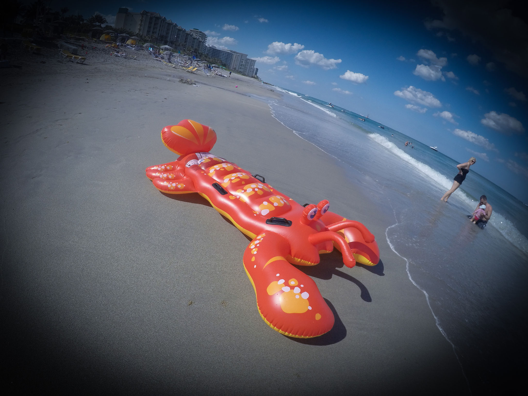 Palm Beach Florida USA Photo4