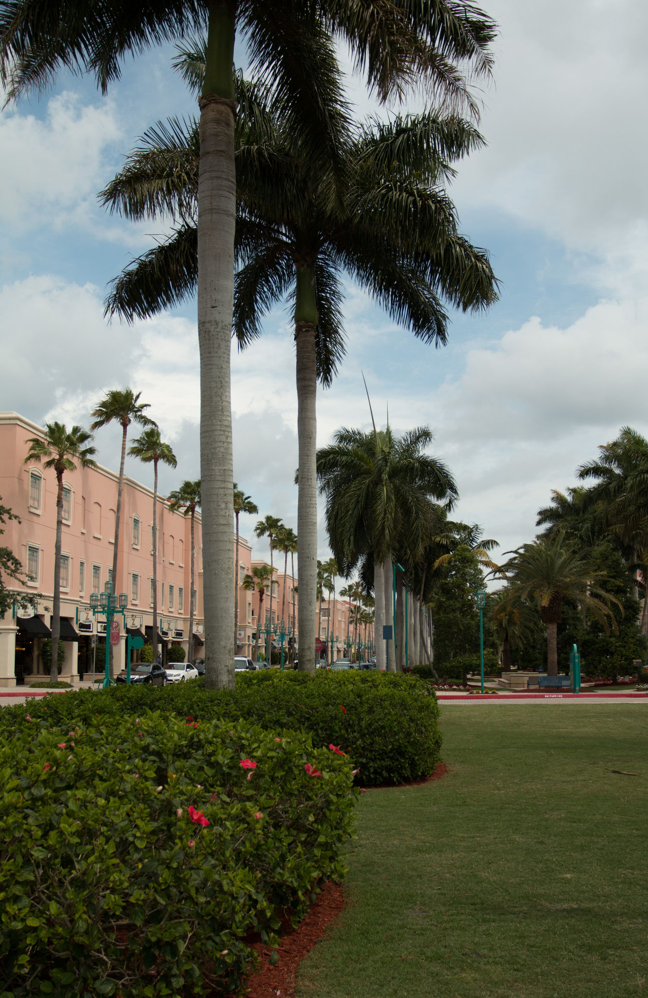Palm Beach Florida USA Photo33