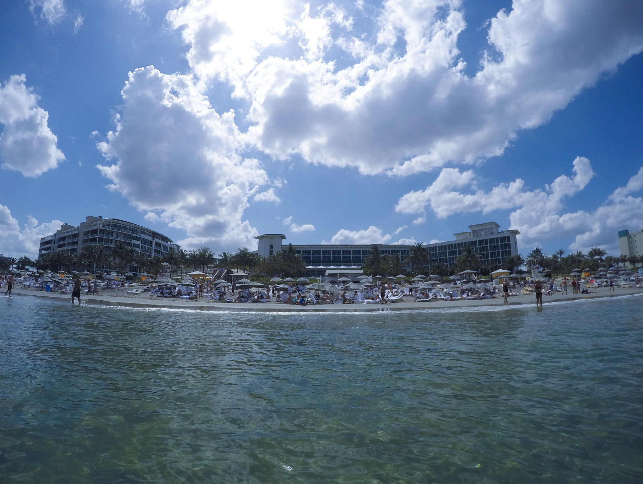 Palm Beach Florida USA Photo5
